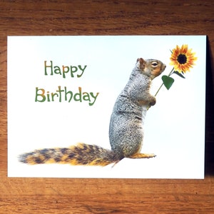 May include: A greeting card with a gray squirrel holding a yellow sunflower. The card says "Happy Birthday" in green text.