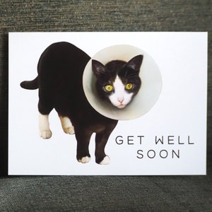 Carte de rétablissement Chat avec cône