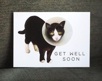 Cat with Cone Get Well Card