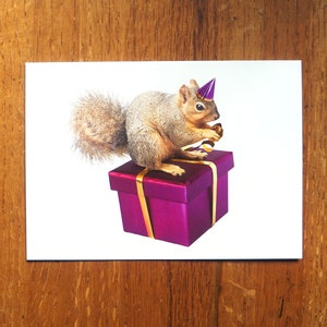 Squirrel on Purple Gift Box Birthday Card