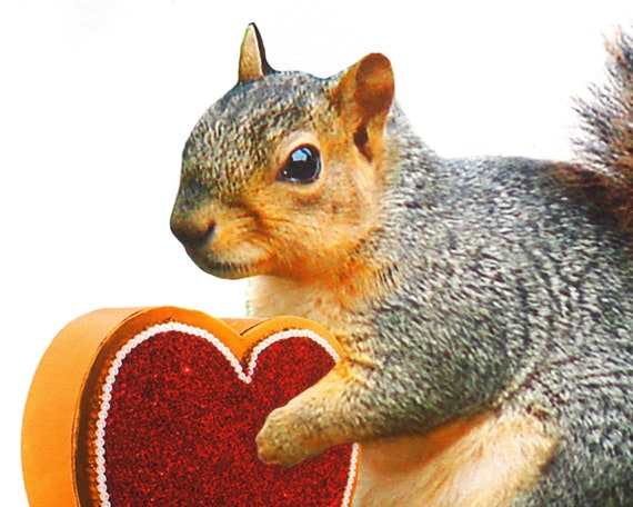 vintage squirrel ♡ ハートと一緒の 可愛い リスさん 【公式通販】