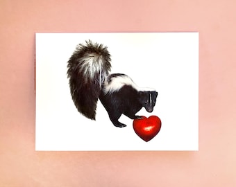Skunk Heart Valentine’s Day Card