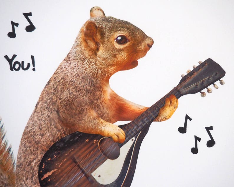 Squirrel Playing Mandolin Birthday Card Etsy Australia