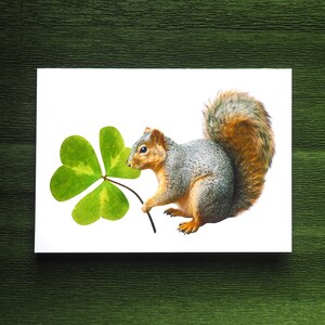 Shamrock Squirrel Card