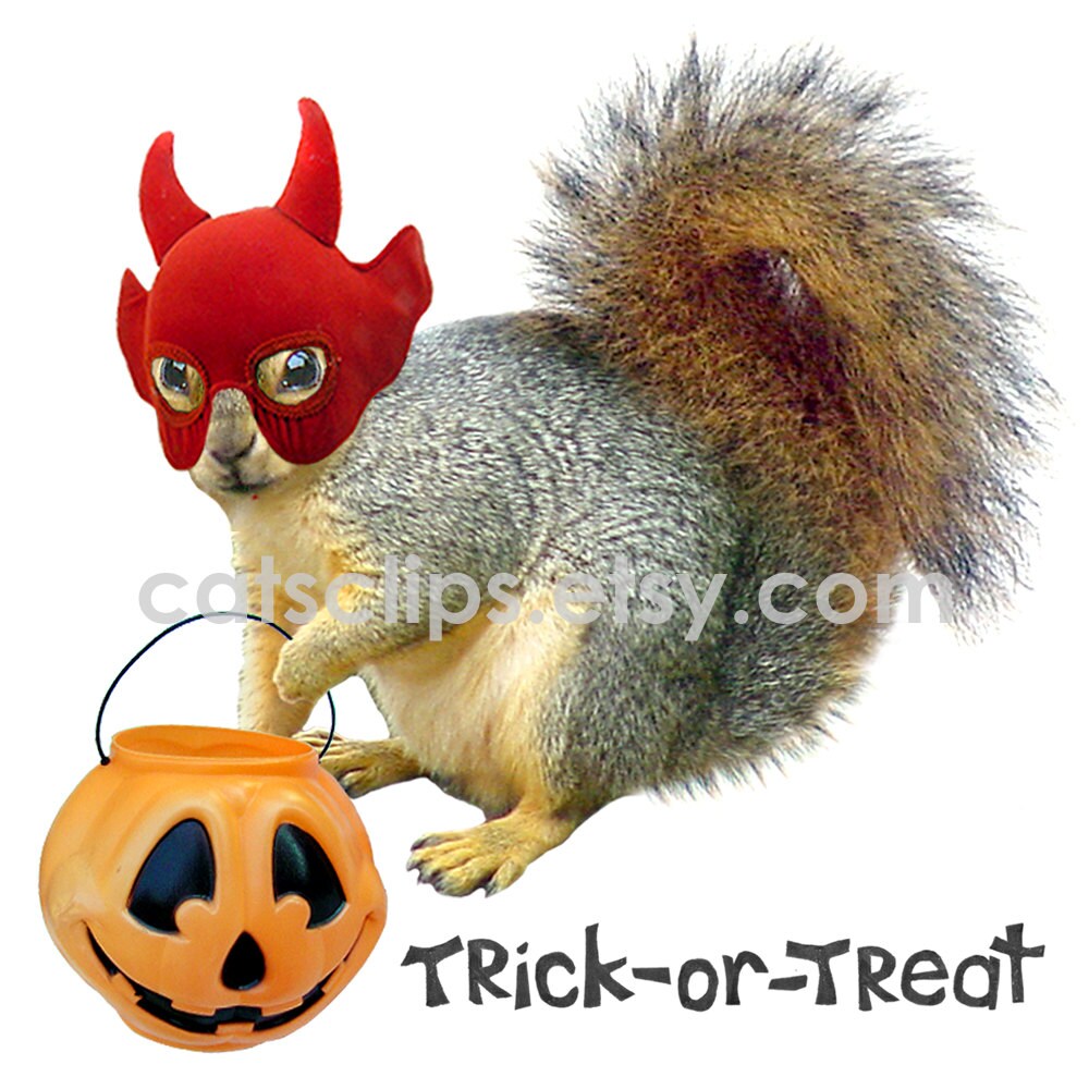 Trickortreat Squirrel Printable Happy Halloween Card Etsy
