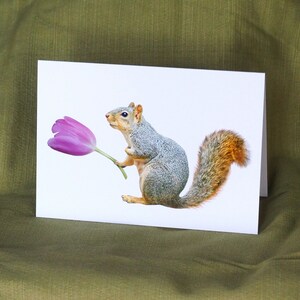 Carte tulipe rose écureuil, carte écureuil fleur de printemps