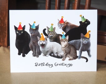 Cats in Party Hats Birthday Card