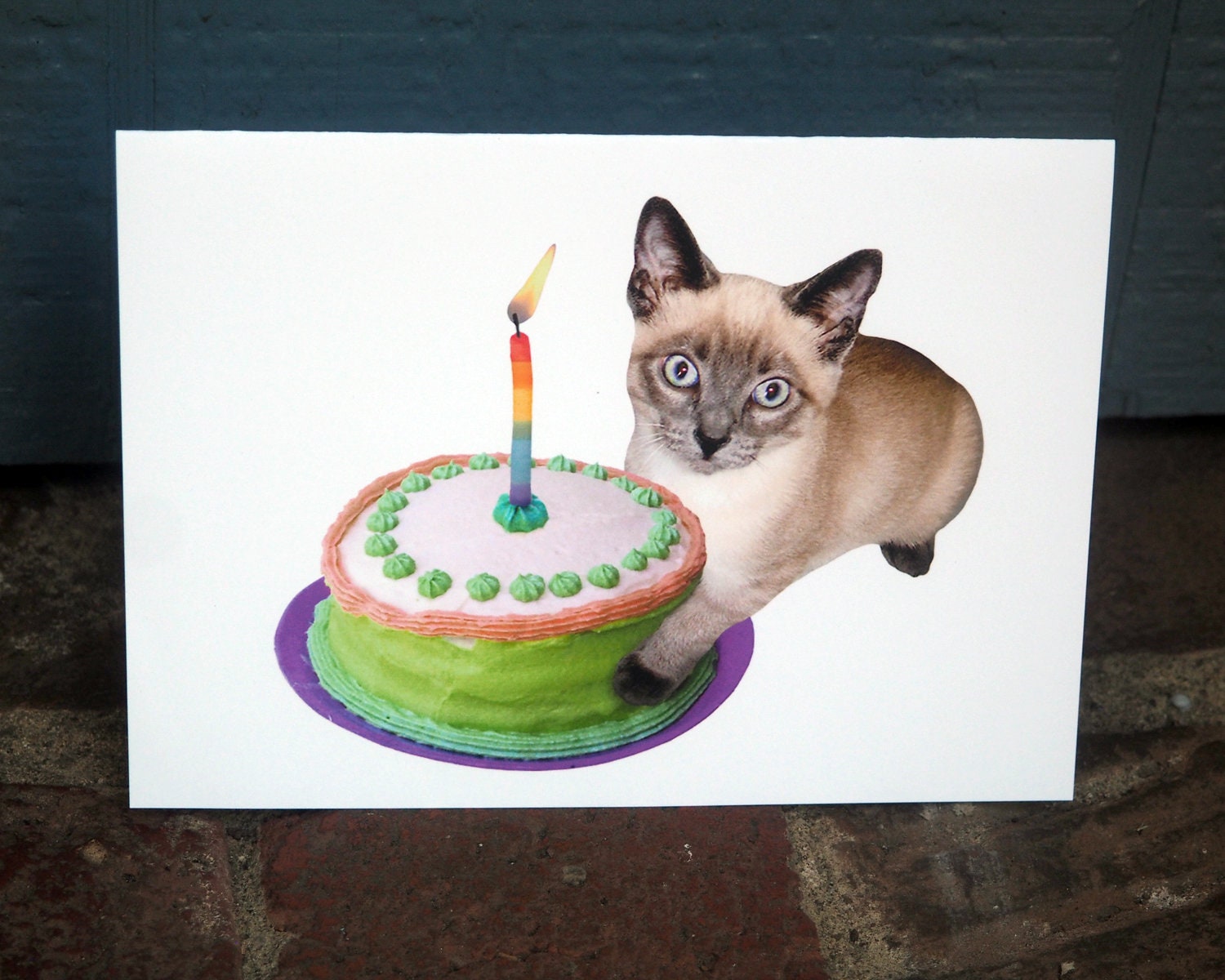 My birthday coming up: CAKE :0 where the CAKE - Grumpy Cat vs Happy Cat |  Make a Meme