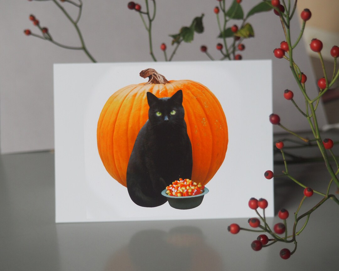 Black Cat With Pumpkin and Candy Halloween Card - Etsy