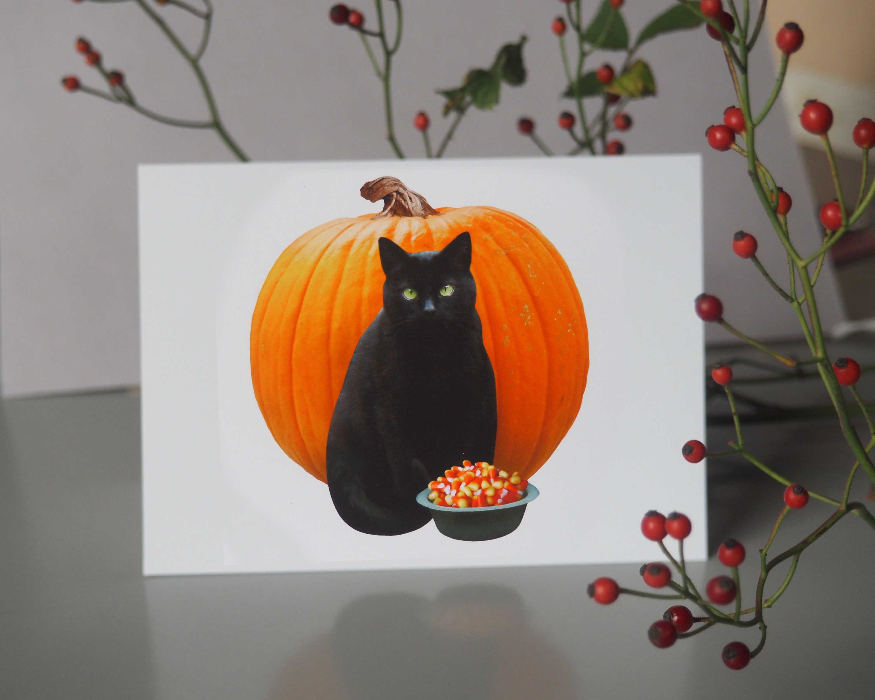 Black Cat With Pumpkin and Candy Halloween Card - Etsy