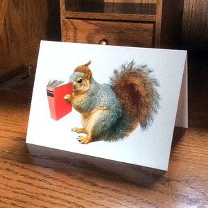 May include: A gray and brown squirrel wearing a brown hat holds a red book in its paws.