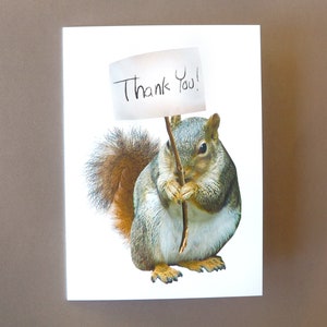 Squirrel Thank You Card