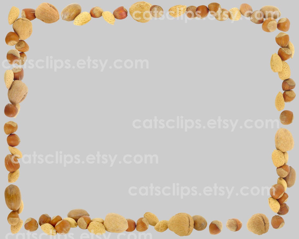 Nuts Digital Border Printable Nut BorderFall Harvest Nut Etsy France