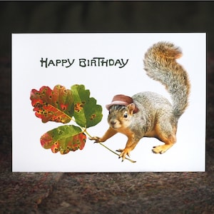 Squirrel with Poison Oak Birthday Card