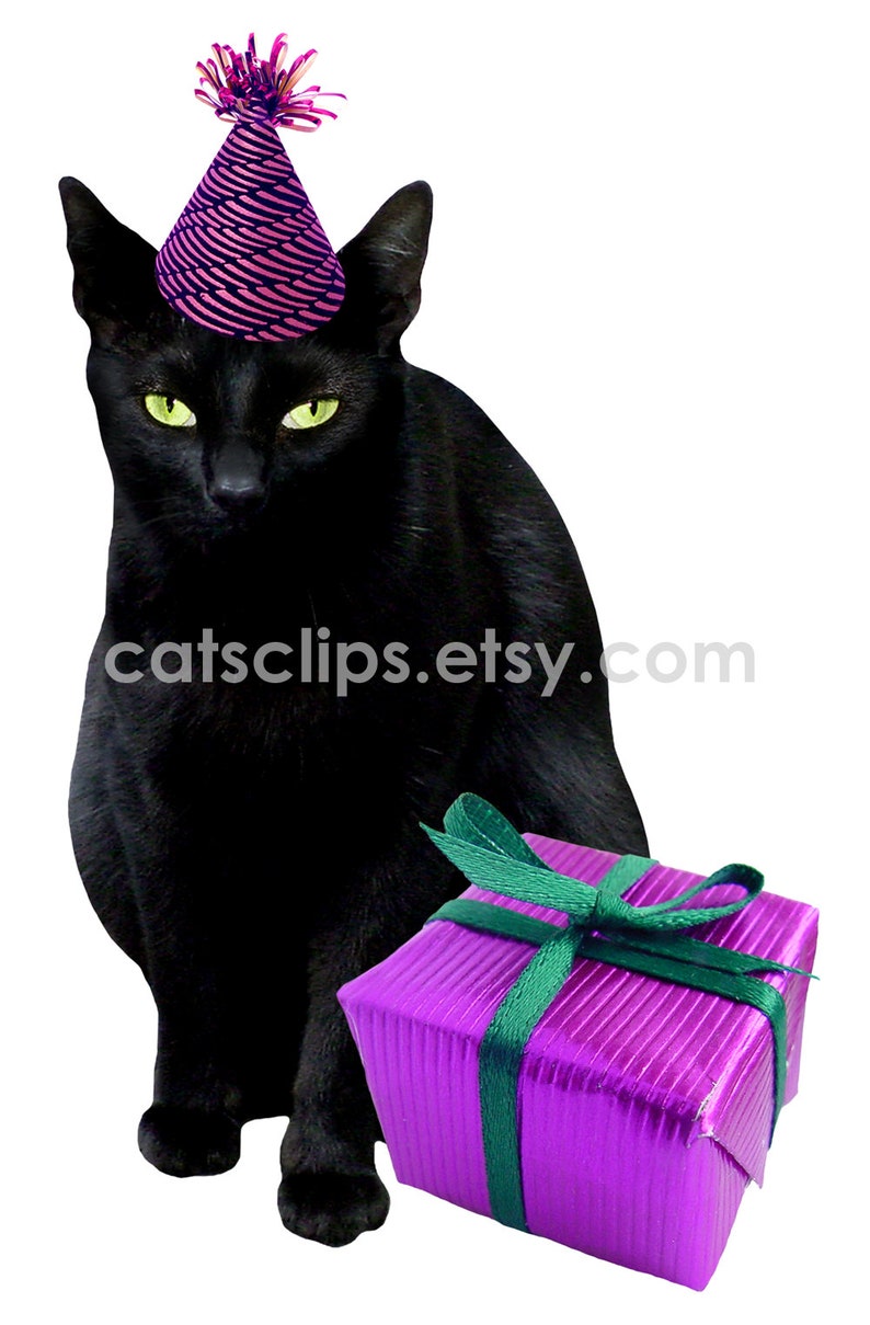 Black Cat Present Printable Birthday Card - Etsy
