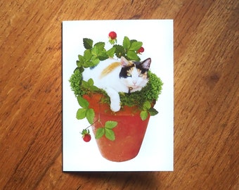 Flowerpot Cat Card, Garden Calico Card