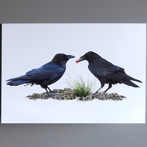Ravens Heart Anniversary Card