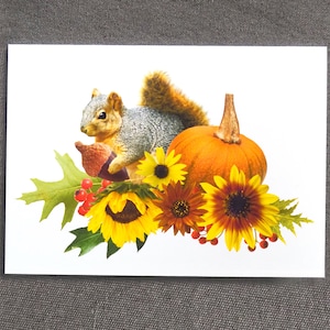 May include: A gray squirrel sits on a pumpkin with a cluster of sunflowers and red berries. The background is white.