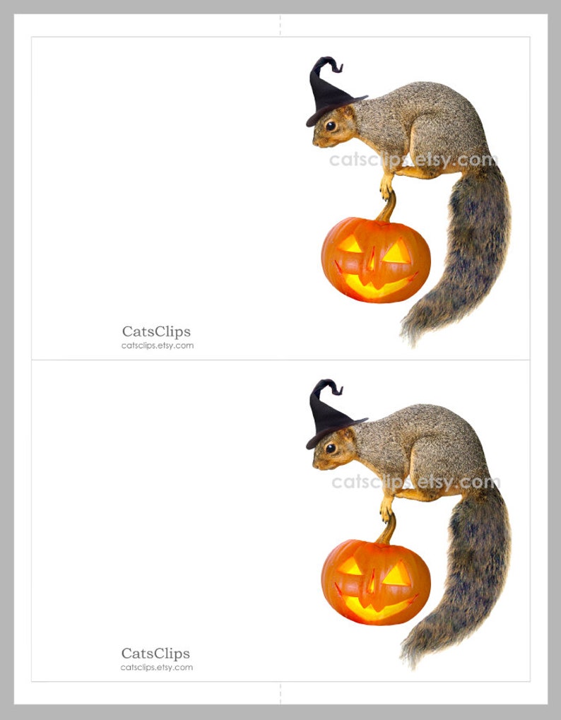 Witch Squirrel with Jack-o-Lantern Printable Halloween Card, Digital Squirrel Halloween Card image 5