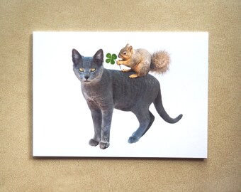 Squirrel on Gray Cat with Clover Card