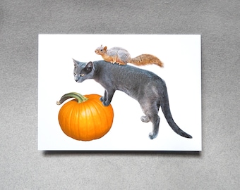 Squirrel on Cat and Pumpkin Fall Card
