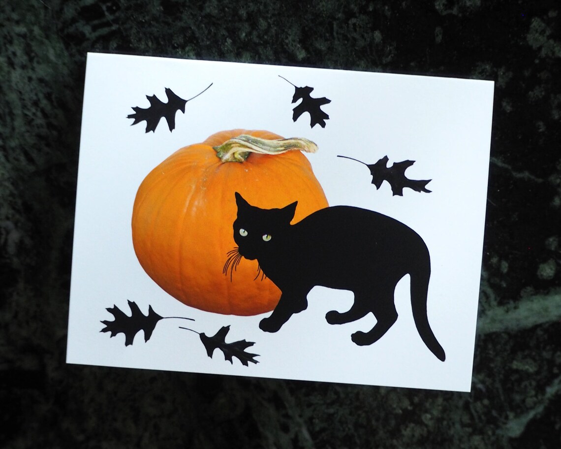 Small Black Cat With Pumpkin Printable Card Black Cat Digital - Etsy