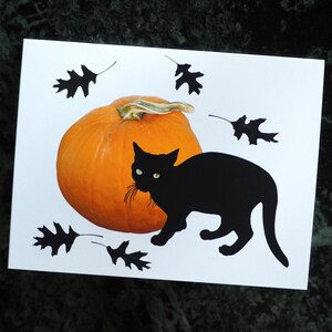 Small Black Cat With Pumpkin Printable Card Black Cat Digital - Etsy