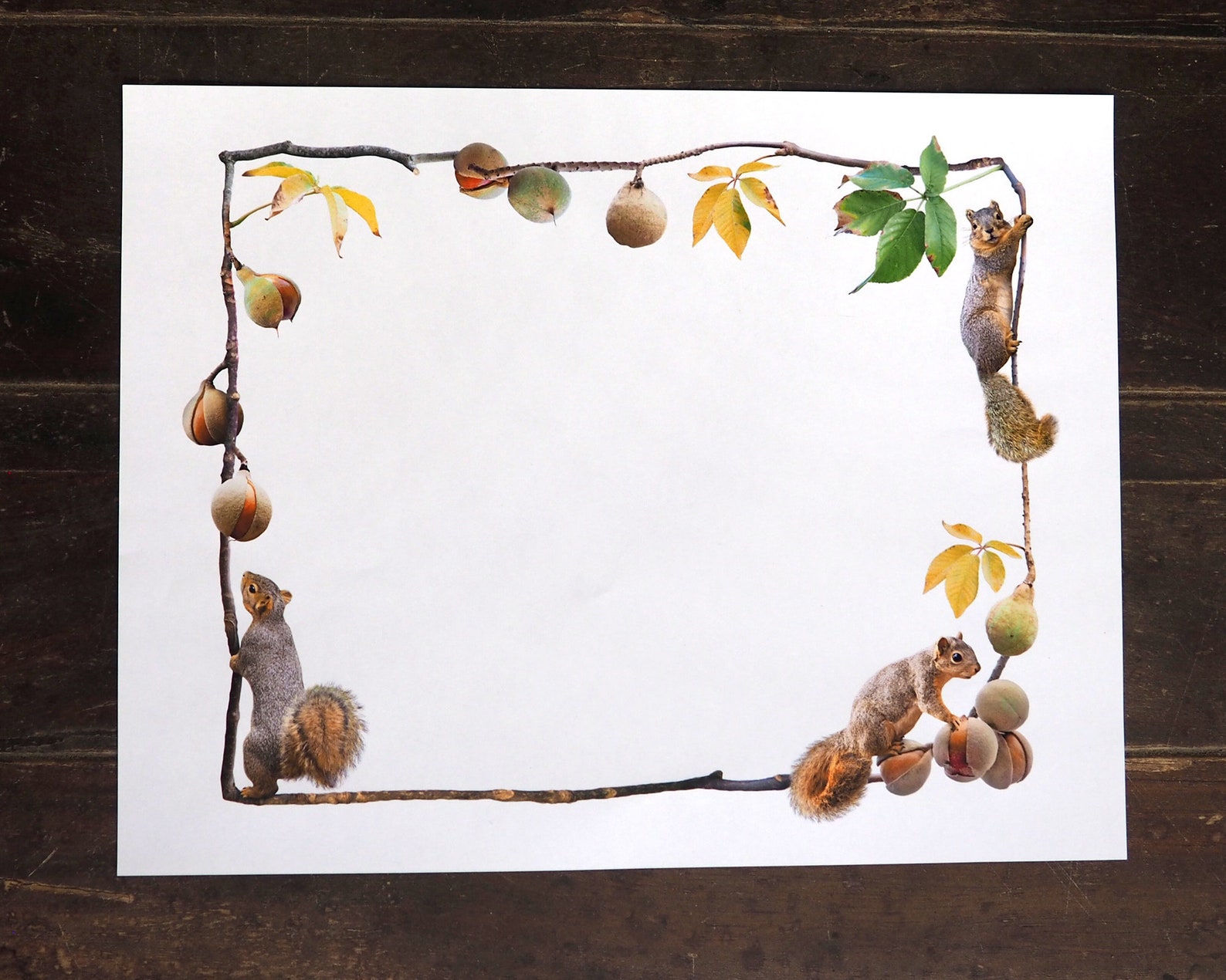 California Buckeye with Squirrels Printable Border Fall | Etsy