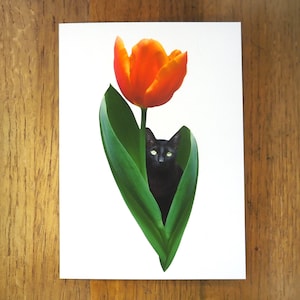 Carte printanière chat tulipe
