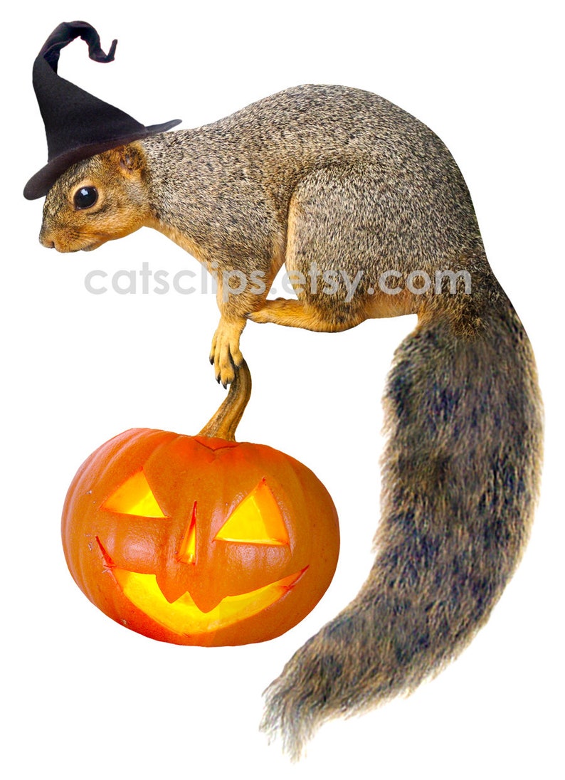 Witch Squirrel with Jack-o-Lantern Printable Halloween Card, Digital Squirrel Halloween Card image 4