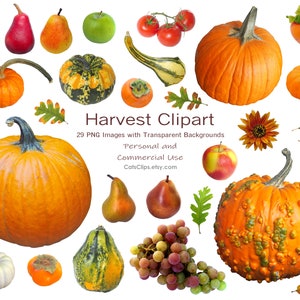 Fall Harvest Photo Objects, Digital Clip Art, Commercial Use PNG