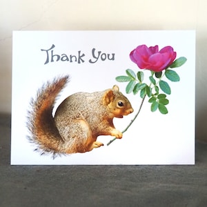 Squirrel with Rose Thank You Card