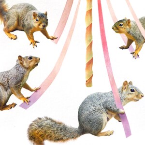 May include: Four gray squirrels are playing around a maypole with pink and orange ribbons. The squirrels are in various poses, some are holding the ribbons in their mouths, and others are jumping.