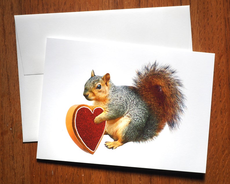 Squirrel With Candy Box Valentine's Day Card Squirrel Etsy