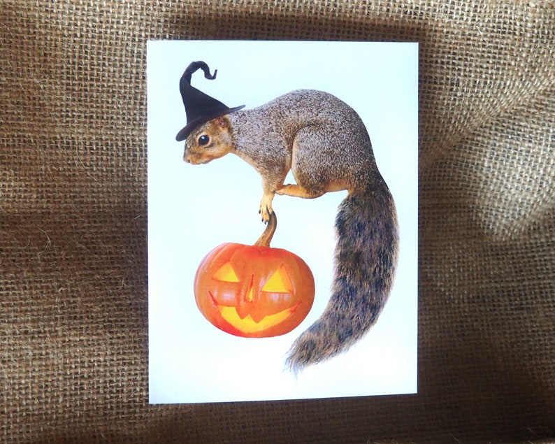 Witch Squirrel with Jack-o-Lantern Printable Halloween Card, Digital Squirrel Halloween Card image 1