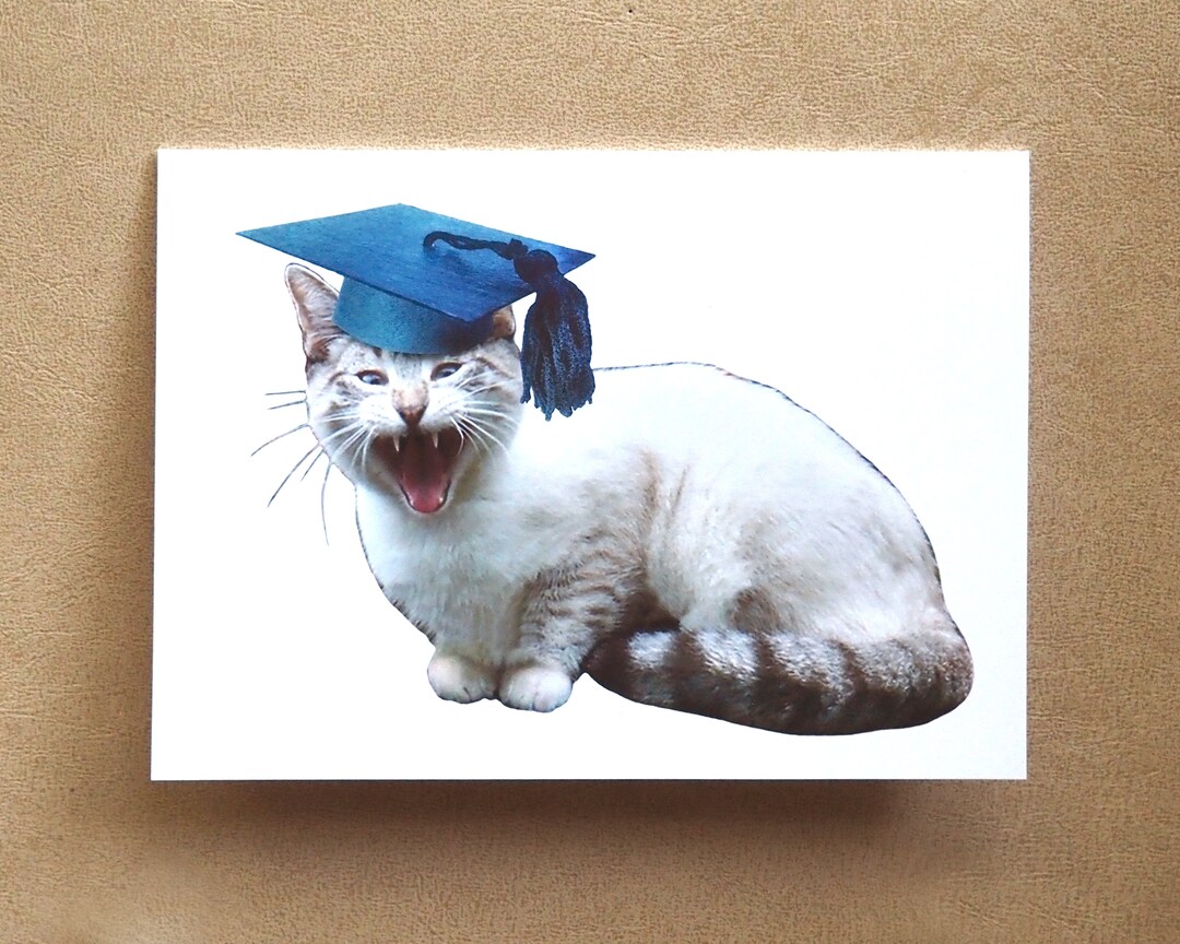 Meowing Cat Graduation Card - Etsy
