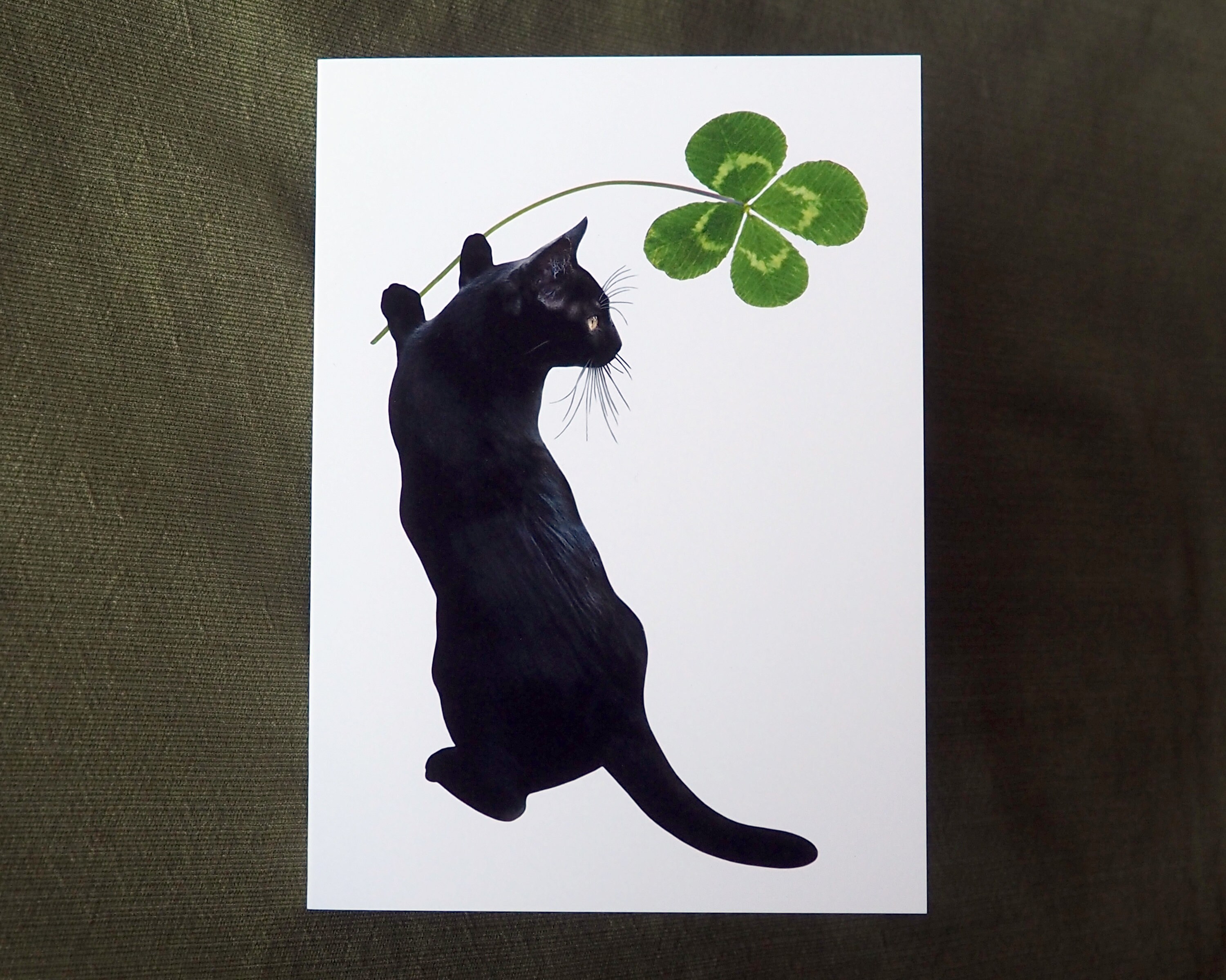 Lucky Black Cat With Four Leaf Clover Card - Etsy