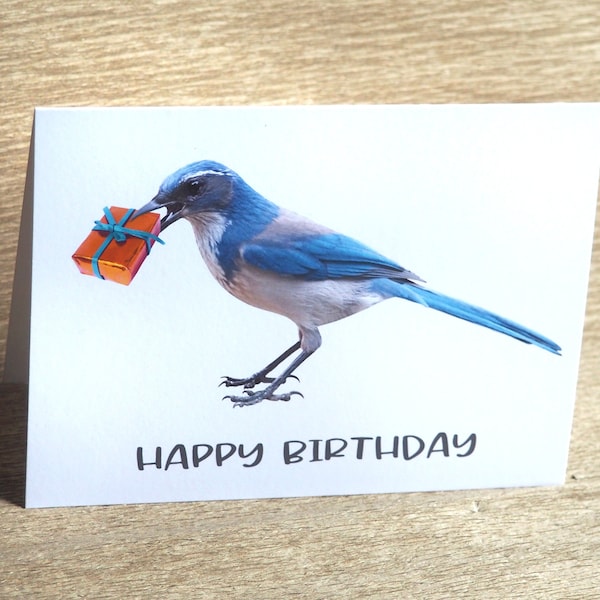Jay with Present Birthday Card