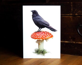 Raven Red Mushroom Card
