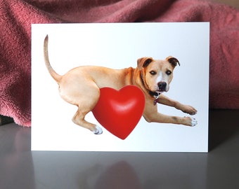 Dog Heart Love Card