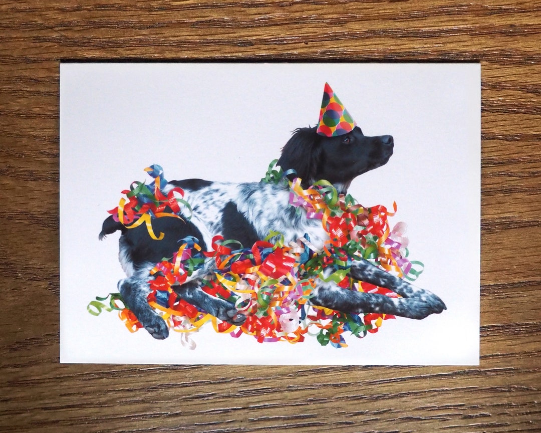 Party Dog in Ribbons Birthday Card - Etsy