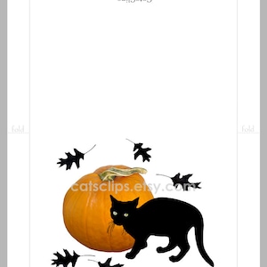 Small Black Cat With Pumpkin Printable Card Black Cat Digital - Etsy