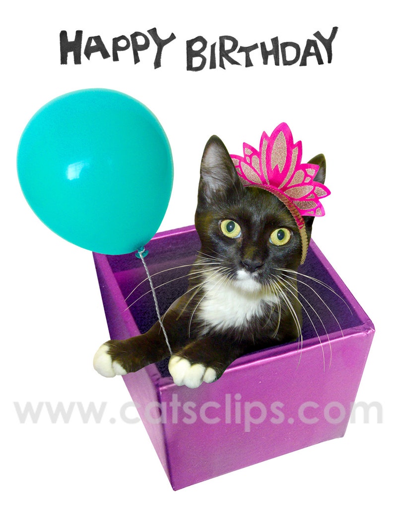 tuxedo cat printable birthday card digital cat birthday
