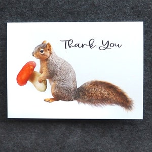 Squirrel with Mushroom Thank You Card