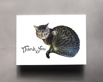 Tabby Cat Thank You Card