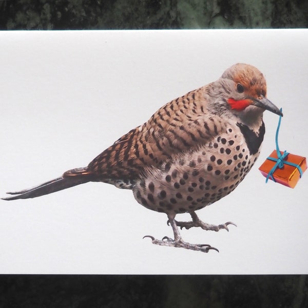 Flicker with Gift Birthday Card