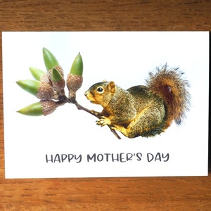 Squirrel with Acorns Mother’s Day Card