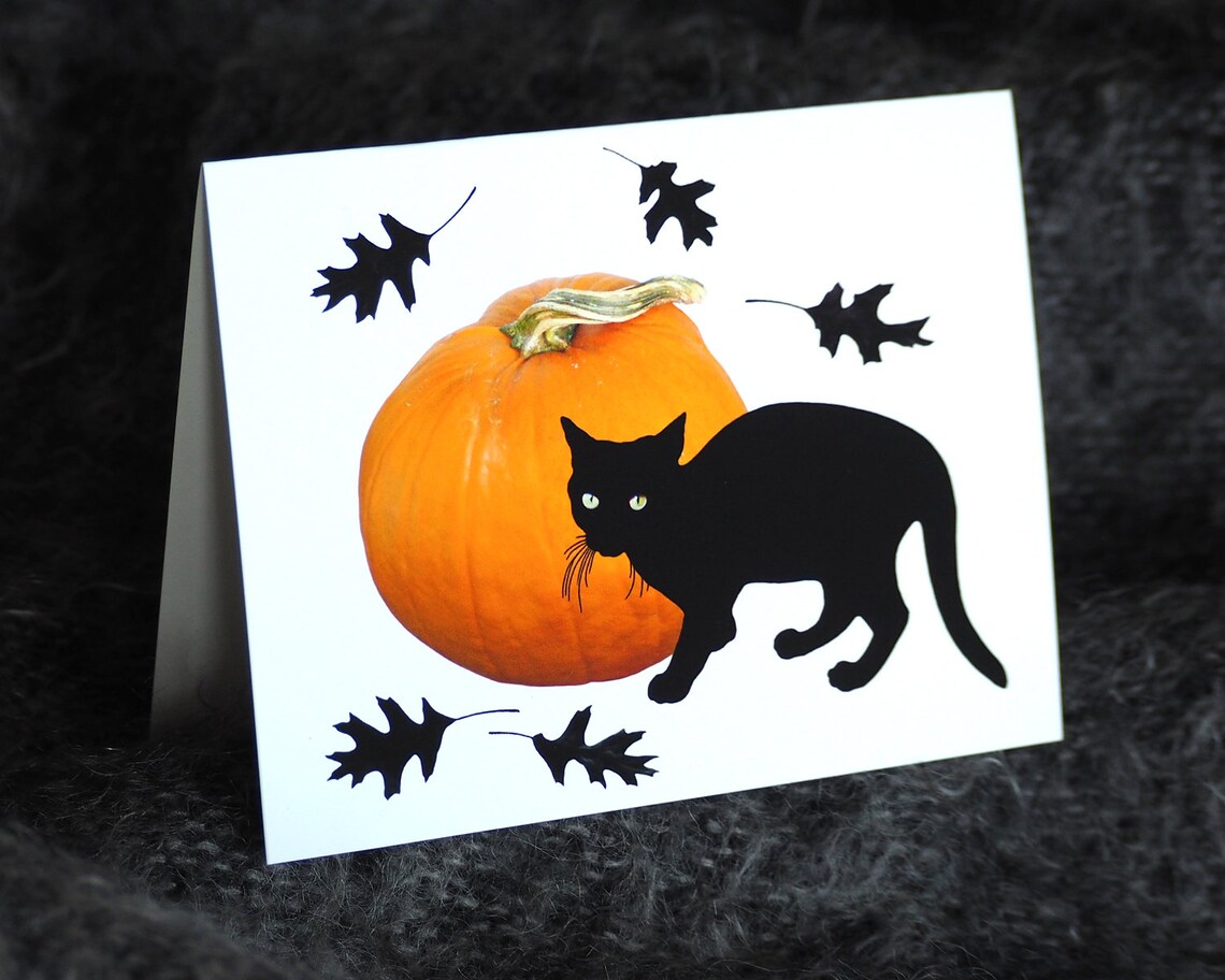 Small Black Cat With Pumpkin Printable Card Black Cat Digital | Etsy