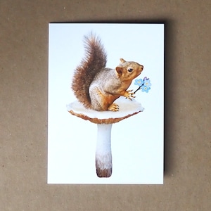 Squirrel with Flowers on Mushroom Card