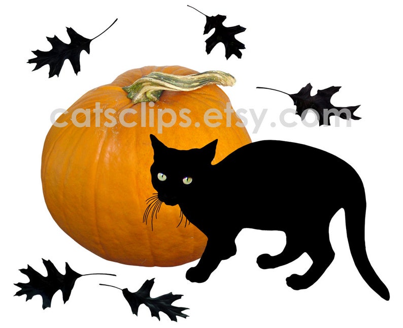 Small Black Cat With Pumpkin Printable Card Black Cat Digital - Etsy